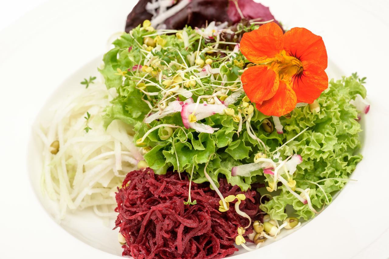 Berghues Schratt - Einfach Anders - Ihr Vegetarisches Und Veganes Biohotel 上施陶芬 外观 照片