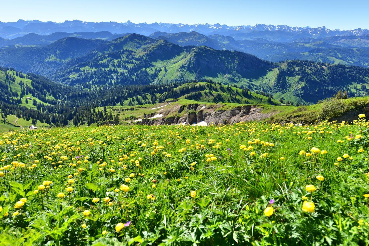 Berghues Schratt - Einfach Anders - Ihr Vegetarisches Und Veganes Biohotel 上施陶芬 外观 照片